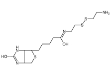 Biotinyl Cystamine；128915-82-2；生物素半胱胺
