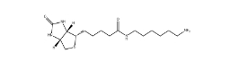 Biotin-C6-amine；65953-56-2；N-生物素基-1,6-己二胺