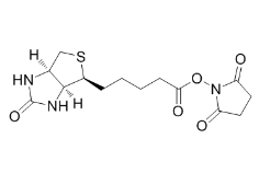 NHS Biotin；35013-72-0；(+)生物素-N-琥珀酰亞胺基酯