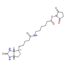 NHS LC Biotin，72040-63-2，生物素化-epsilon-氨基己酸-N-羥基丁二酰亞胺活化酯