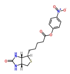 (+)-Biotin-ONP ((+)-Biotin 4-nitrophenyl ester)；33755-53-2；(+)-生物素4-硝基苯酯