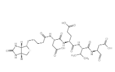 Biotin-Asp-Glu-Val-Asp-CHO；178603-73-1；生物素-天冬氨酰-谷氨酰-纈氨酰-天冬氨醛