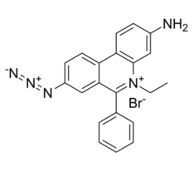 CAS號(hào)：58880-05-0，EMA[單疊氮化溴乙非啶]，EMA [Ethidium monoazide bromide]