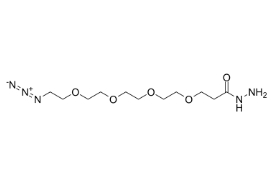 cas:2170240-96-5，Azido-PEG4-hydrazide HCl Salt，鹽酸疊氮-四聚乙二醇-肼鹽