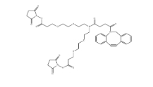 CAS號：2128735-29-3，N-DBCO-N-bis(PEG2-C2-NHS ester)，N-Dbco-N-bis(peg2-nhs ester)，N-二苯基環(huán)辛炔-N-bis(二聚乙二醇-C2-琥珀酰亞胺酯)