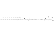cas:2112738-14-2，DSPE-PEG4-DBCO，磷脂-四聚乙二醇-二苯并環(huán)辛炔