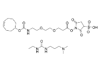 CAS：2353409-48-8，TCO-PEG2-Sulfo-NHS ester，反式環(huán)辛烯-二聚乙二醇-Sulfo-羥基琥珀酰亞胺酯