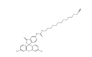 CAS號(hào)：1927884-65-8，5-FITC-四聚乙二醇-炔基，5-FITC-PEG4-alkyne，