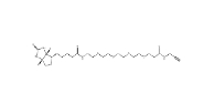 Biotin-PEG4-amide-Alkyne，CAS號：1006592-45-5