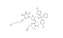 clk-a03-1g c8-alkyne-du-cep, 1 g pack，CAS號(hào)：938186-76-6
