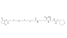  CAS:2307311-19-7，TCO-GK-PEG4-NHS ester，