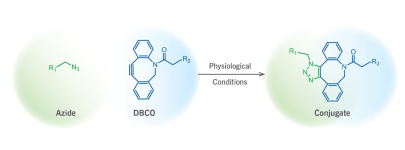 疊氮聚乙二醇熒光素； Azide-PEG-Fluorescein ；N3-PEG-Fluorescein