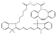 CY5-二苯基環(huán)辛炔;CY5-二苯并環(huán)辛炔，Cyanine5 DBCO，CAS號：2182601-71-2