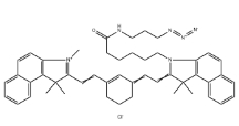 1628790-36-2，Cyanine7.5 azide,Cy7.5-N3,近紅外熒光染料，Cy7.5-疊氮	