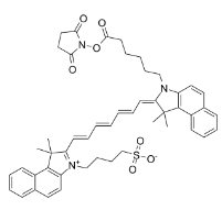 ICG-NHS Ester; CAS:1622335-40-3，吲哚菁綠-琥珀酰亞胺酯