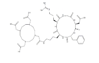 CAS號：909024-55-1；DOTA-cyclo(RGDfK) acetate