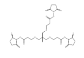 173414-89-6，m-C-tri(CH2-PEG1-NHS ester)      瑞禧生物