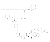 endo-BCN-PEG4-Val-Cit-PAB-MMAE，2762519-08-2，(1R,8S,9S)-雙環(huán)[6.1.0]壬-四聚乙二醇-VAL-CIT-PAB-MMAE