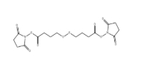 cas:98604-88-7，Bis-SS-C3-NHS ester，抗體藥物偶聯(lián)物（ADC）
