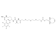 cas:2353409-45-5，BCN-PEG3-Val-Cit-PFP Ester，抗體藥物偶聯(lián)物（ADC）