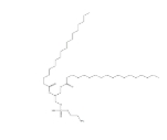 DSPE二硬脂酰磷脂酰乙醇胺，1069-79-0 ，DSPE藥用輔料， 1,2-二硬脂?；?sn-丙三基-3-磷脂酰乙醇胺