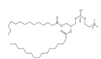 1-Myristoyl-2-palmitoyl-sn-glycero-3-phosphocholine，69525-80-0，1-肉豆蔻?；?2-棕櫚?；蚜字? /><br /></p>【基本信息】：<br />包裝：瓶裝！<br />產(chǎn)地：西安<br />儲(chǔ)存：冷藏<br />規(guī)格：50mg  100mg  250mg  500mg<br />狀態(tài)：固體/粉末/溶液<br />溫馨提示：僅用于科研！不可用于人體實(shí)驗(yàn)！<br />【關(guān)于我們】：西安瑞禧生物科技有限公司是一家集研發(fā)、生產(chǎn)及銷售高品質(zhì)科研試劑為一體的高科技企業(yè)，主要有以下業(yè)務(wù)方向：合成磷脂、高分子聚乙二醇衍生物、嵌段共聚物、順磁/超順磁性納米顆粒、納米金及納米金棒、近紅外熒光染料、活性熒光染料、熒光標(biāo)記的葡聚糖BSA和鏈霉親和素、蛋白交聯(lián)劑、小分子PEG衍生物、點(diǎn)擊化學(xué)產(chǎn)品、樹枝狀聚合物、環(huán)糊精衍生物、大環(huán)配體類、熒光量子點(diǎn)、透明質(zhì)酸衍生物、石墨烯或氧化石墨烯、碳納米管、富勒烯等等，同時(shí)還提供多種定制產(chǎn)品服務(wù)！<br />【推薦產(chǎn)品】：<br />DSPE-PEG-Azide<br />DSPE-PEG-Amine, MW 10000 ammonium<br />DSPE-PEG-alkyne, MW 2,000<br />DSPE-PEG8-amido-DBCO<br />DSPE-PEG4-Maleimide<br />DSPE-PEG2000-triGalNAc ammonium					</div>
					
					<div   id=