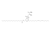 1-stearoyl-2-linoleoyl-sn-glycero-3-phospho-L-serine (sodium salt) (18:0 -18:2 PS)，CAS:322647-11-0，1-硬脂?；?2-亞油?；?sn-甘油-3-磷酸-L-絲氨酸(鈉鹽)