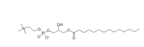 811442-84-9，Amine-PEG4-NH-Boc，氨基-四聚乙二醇-叔丁氧羰基