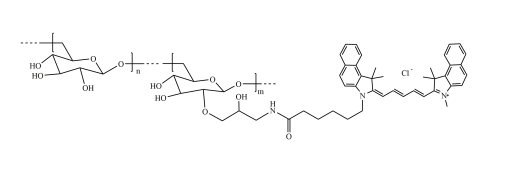 CY5.5-Dextran